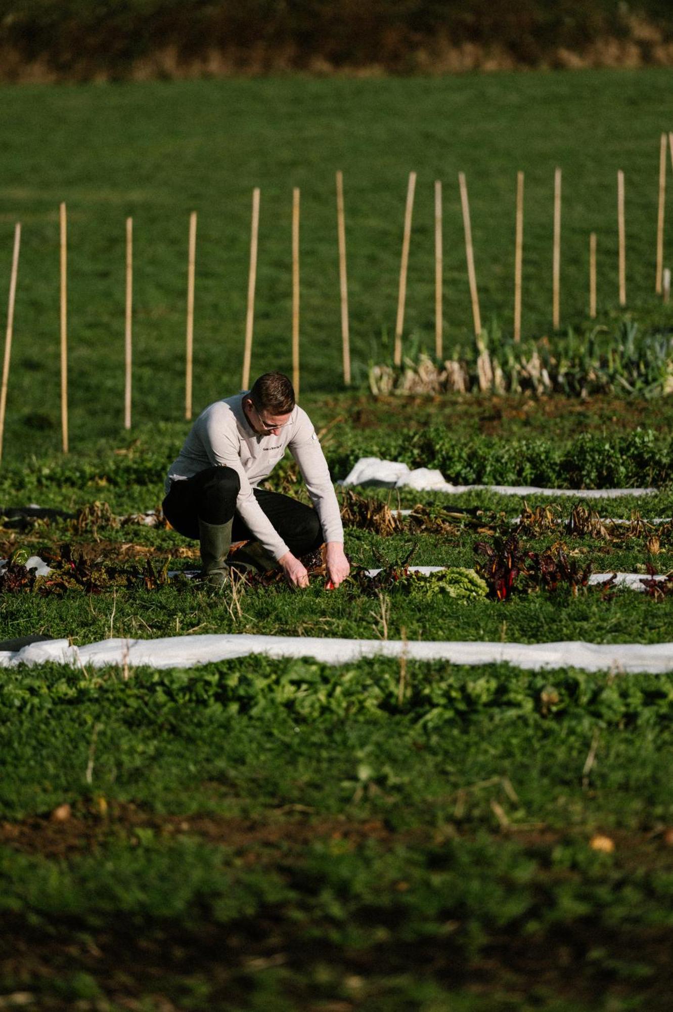 Valkenburg aan de Geul Chateau St Gerlach - Oostwegel Collection, Member Of Relais And Chateaux מראה חיצוני תמונה A farmer working in a field